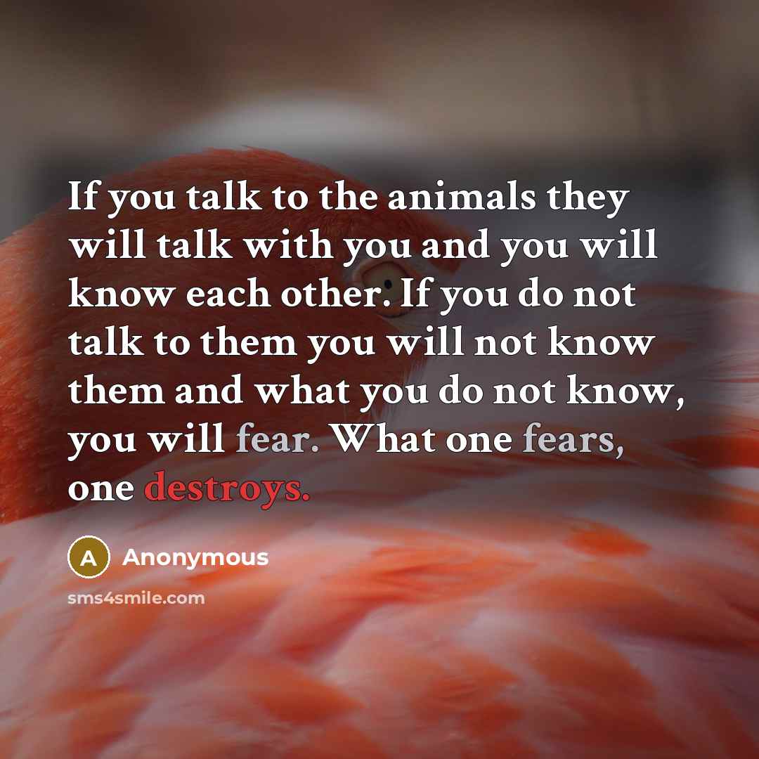 “If you talk to the animals they will talk with you and you will know each other. If you do not talk to them you will not know them and what you do not know, you will fear. What one fears, one destroys.” quote by Anonymous