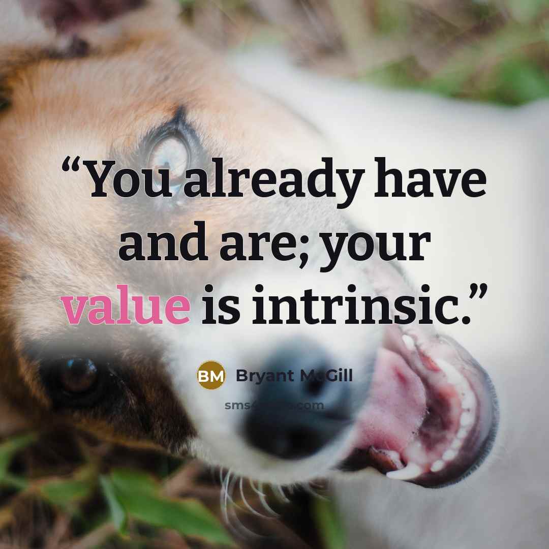 “You already have and are; your value is intrinsic.” quote by Bryant McGill
