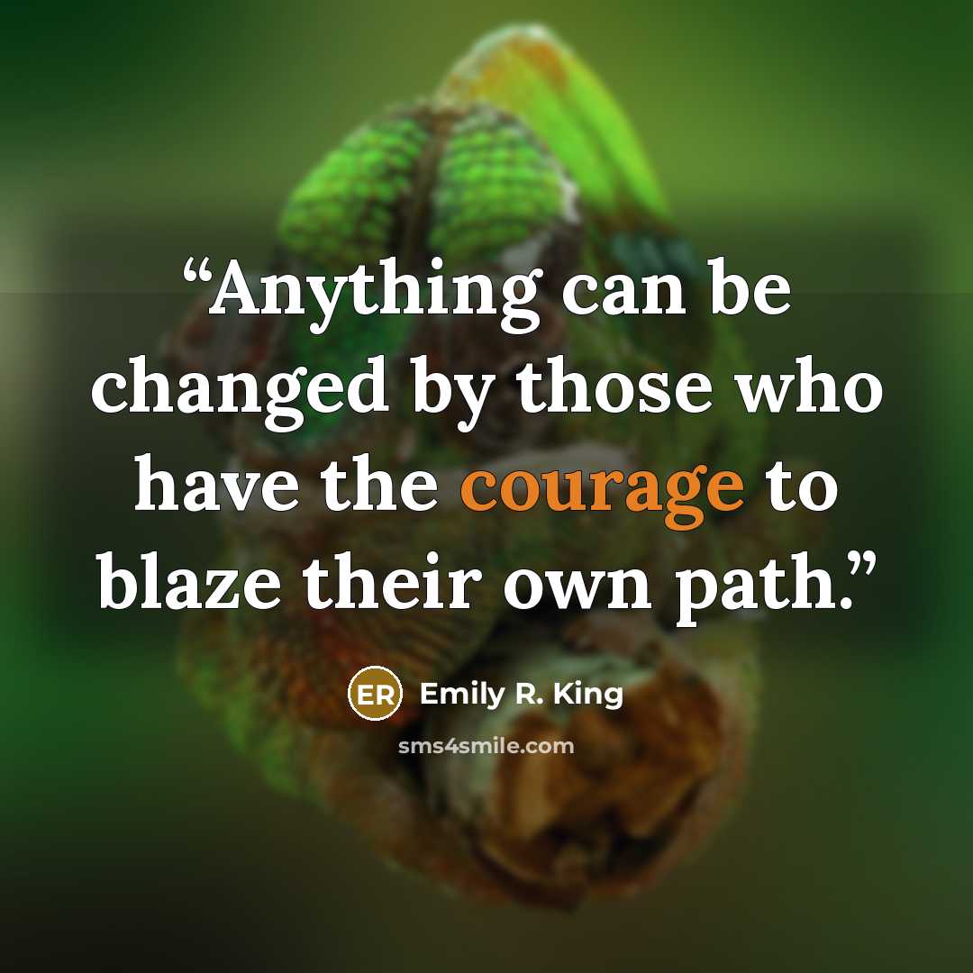 “Anything can be changed by those who have the courage to blaze their own path.” quote by Emily R. King