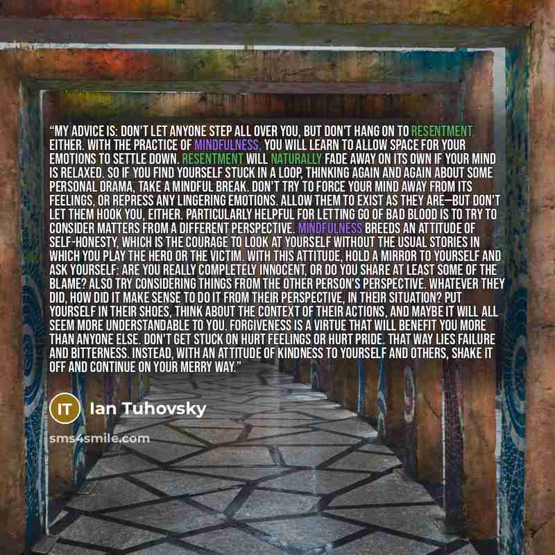 “My advice is: Don't let anyone step all over you, but don't hang on to resentment, either. With the practice of mindfulness, you will learn to allow space for your emotions to settle down. Resentment will naturally fade away on its own if your mind is relaxed. So if you find yourself stuck in a…” quote by Ian Tuhovsky