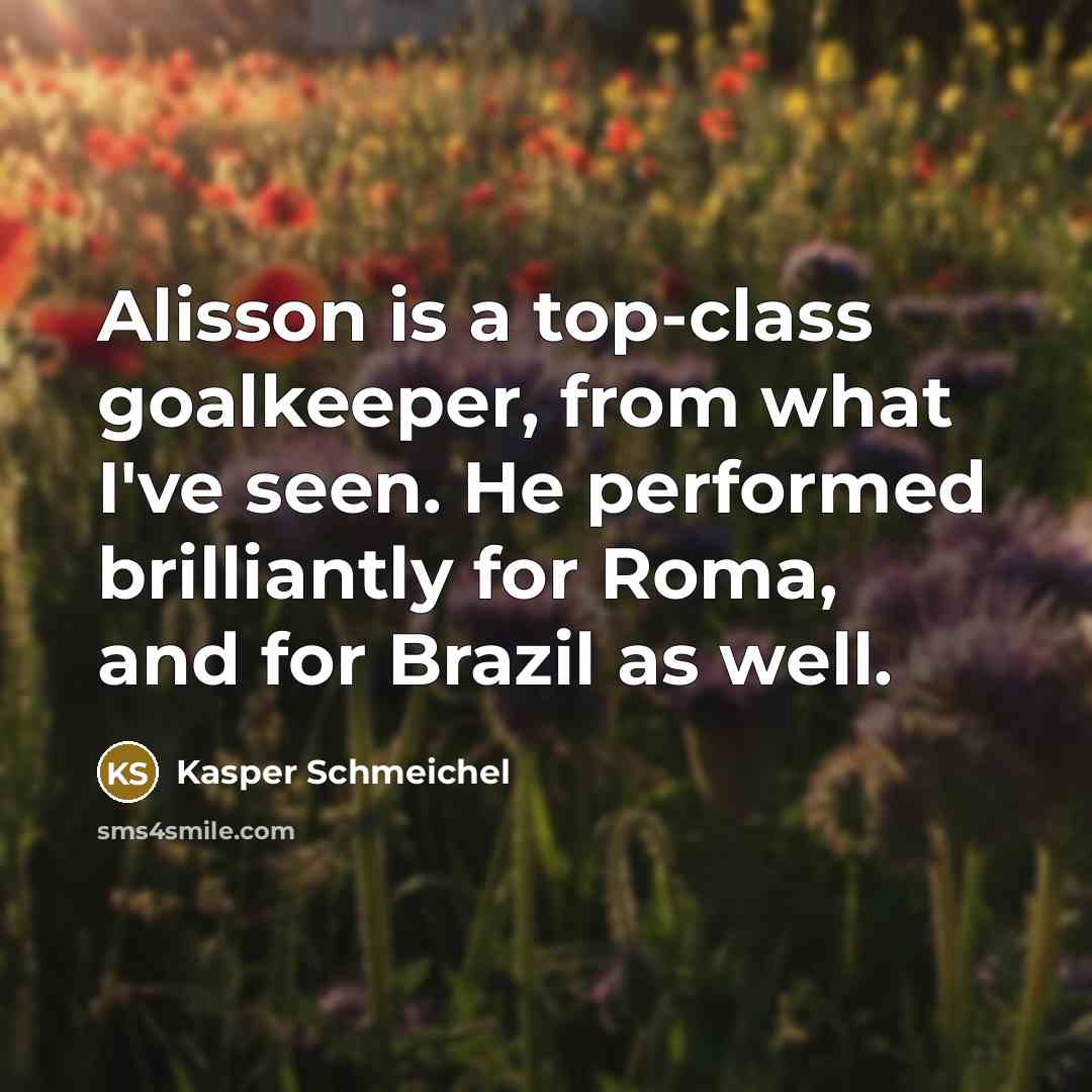 “Alisson is a top-class goalkeeper, from what I've seen. He performed brilliantly for Roma, and for Brazil as well.” quote by Kasper Schmeichel
