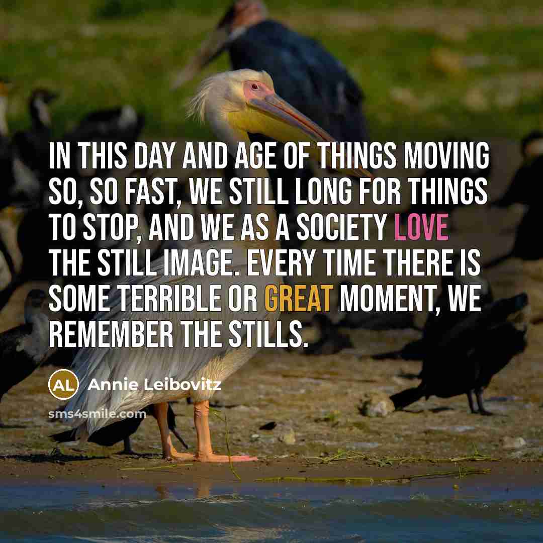 “In this day and age of things moving so, so fast, we still long for things to stop, and we as a society love the still image. Every time there is some terrible or great moment, we remember the stills.” quote by Annie Leibovitz
