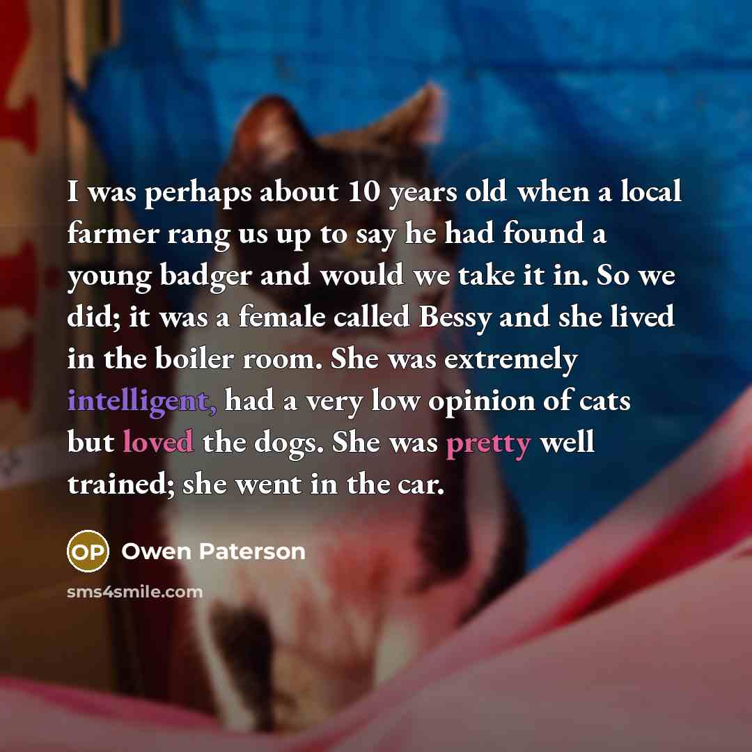 “I was perhaps about 10 years old when a local farmer rang us up to say he had found a young badger and would we take it in. So we did; it was a female called Bessy and she lived in the boiler room. She was extremely intelligent, had a very low opinion of cats but loved the dogs. She was pretty…” quote by Owen Paterson