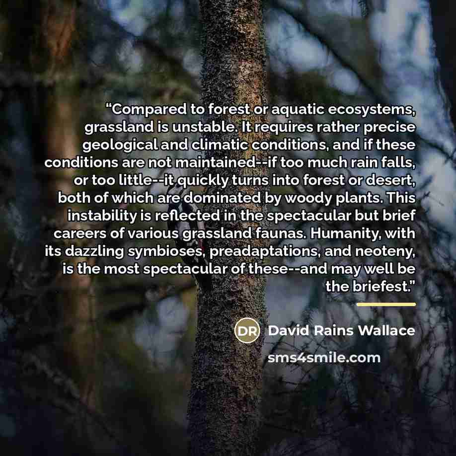 “Compared to forest or aquatic ecosystems, grassland is unstable. It requires rather precise geological and climatic conditions, and if these conditions are not maintained--if too much rain falls, or too little--it quickly turns into forest or desert, both of which are dominated by woody plants…” quote by David Rains Wallace