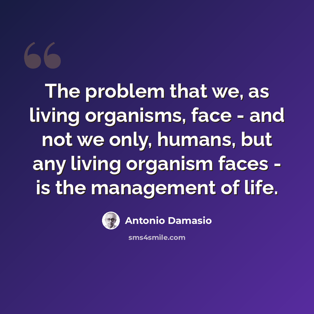 “The problem that we, as living organisms, face - and not we only, humans, but any living organism faces - is the management of life.” quote by Antonio Damasio