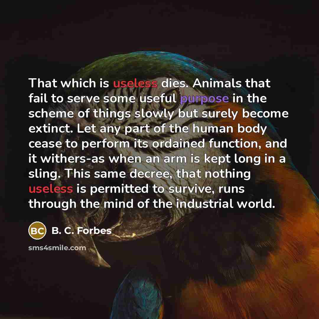 “That which is useless dies. Animals that fail to serve some useful purpose in the scheme of things slowly but surely become extinct. Let any part of the human body cease to perform its ordained function, and it withers-as when an arm is kept long in a sling. This same decree, that nothing useless…” quote by B. C. Forbes
