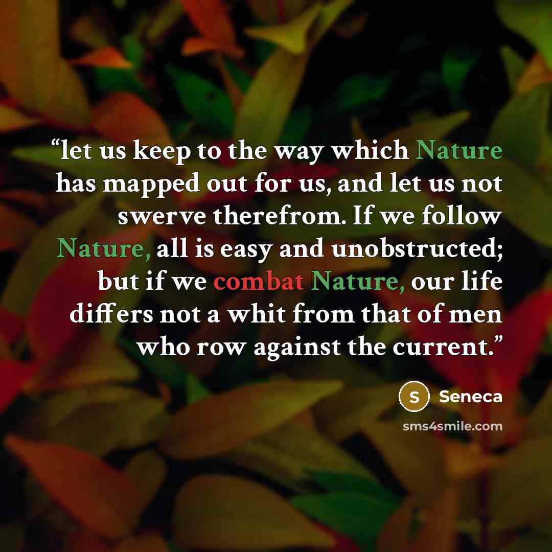 “let us keep to the way which Nature has mapped out for us, and let us not swerve therefrom. If we follow Nature, all is easy and unobstructed; but if we combat Nature, our life differs not a whit from that of men who row against the current.” quote by Seneca