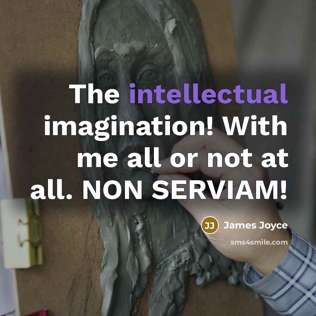 “The intellectual imagination! With me all or not at all. NON SERVIAM!” quote by James Joyce