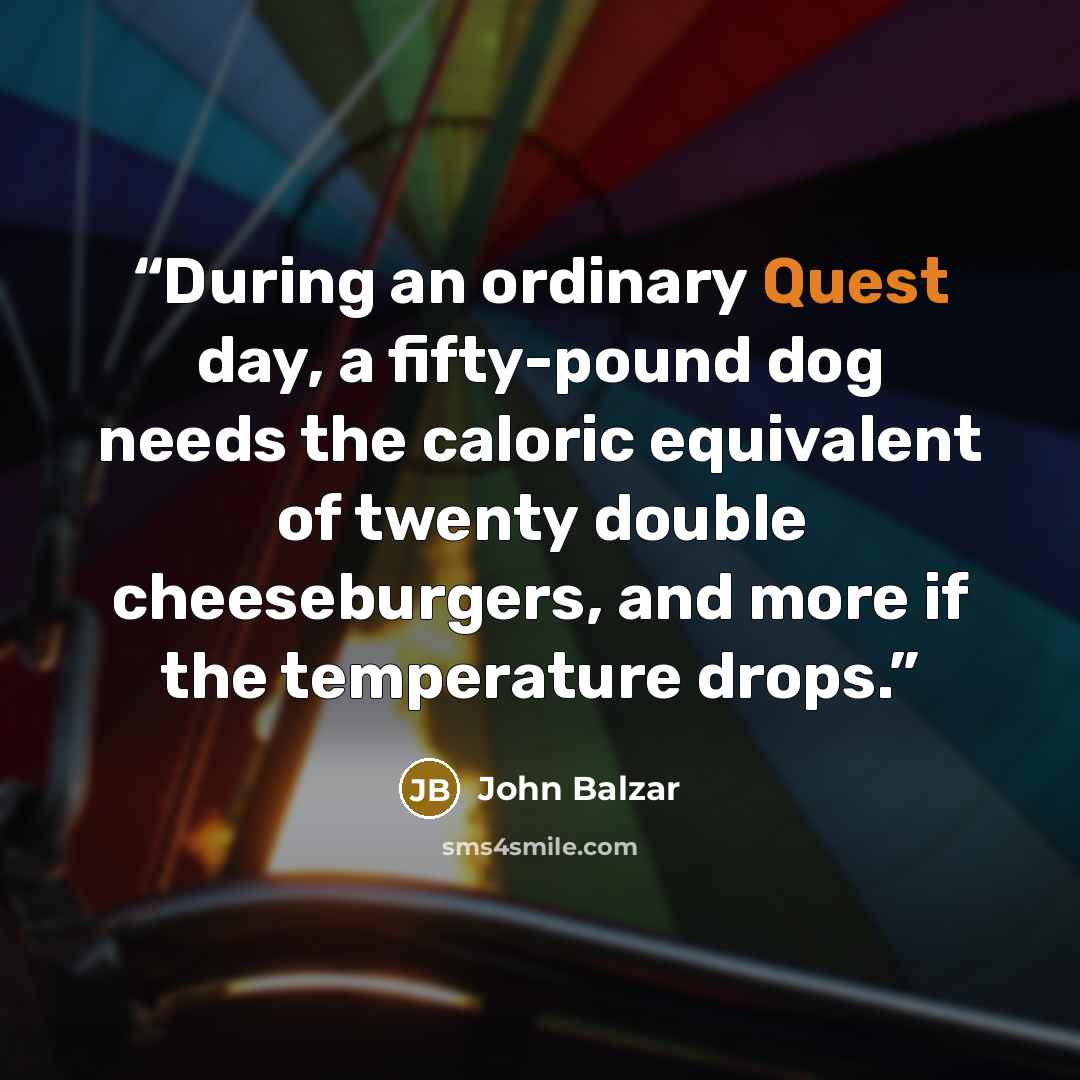 “During an ordinary Quest day, a fifty-pound dog needs the caloric equivalent of twenty double cheeseburgers, and more if the temperature drops.” quote by John Balzar