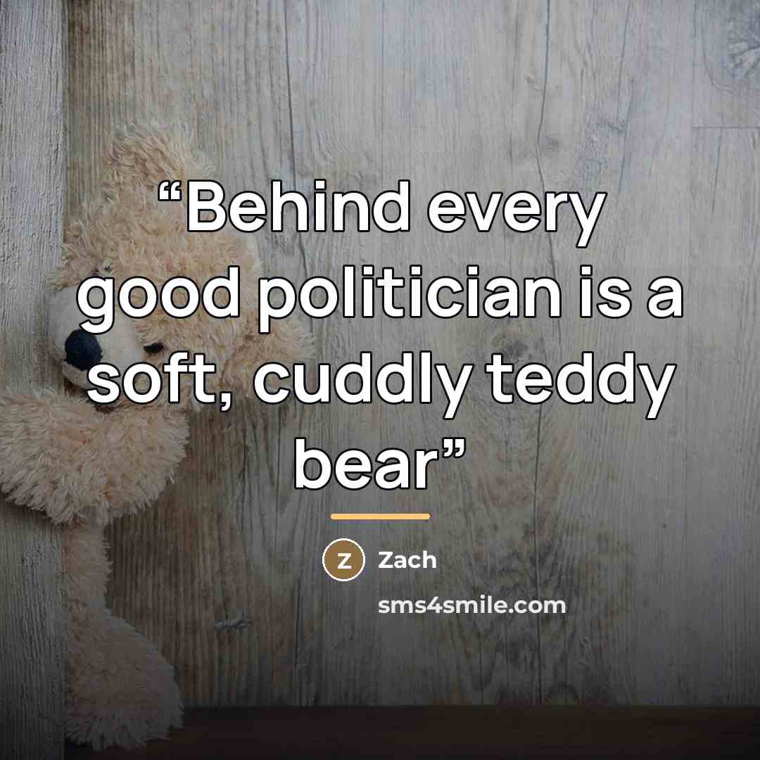 “Behind every good politician is a soft, cuddly teddy bear” quote by Zach