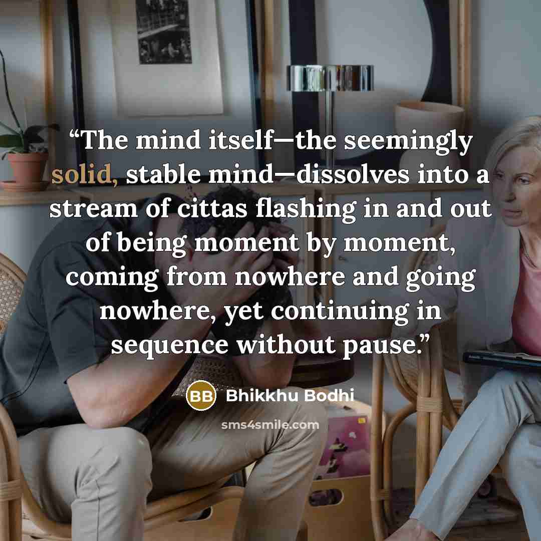 “The mind itself—the seemingly solid, stable mind—dissolves into a stream of cittas flashing in and out of being moment by moment, coming from nowhere and going nowhere, yet continuing in sequence without pause.” quote by Bhikkhu Bodhi
