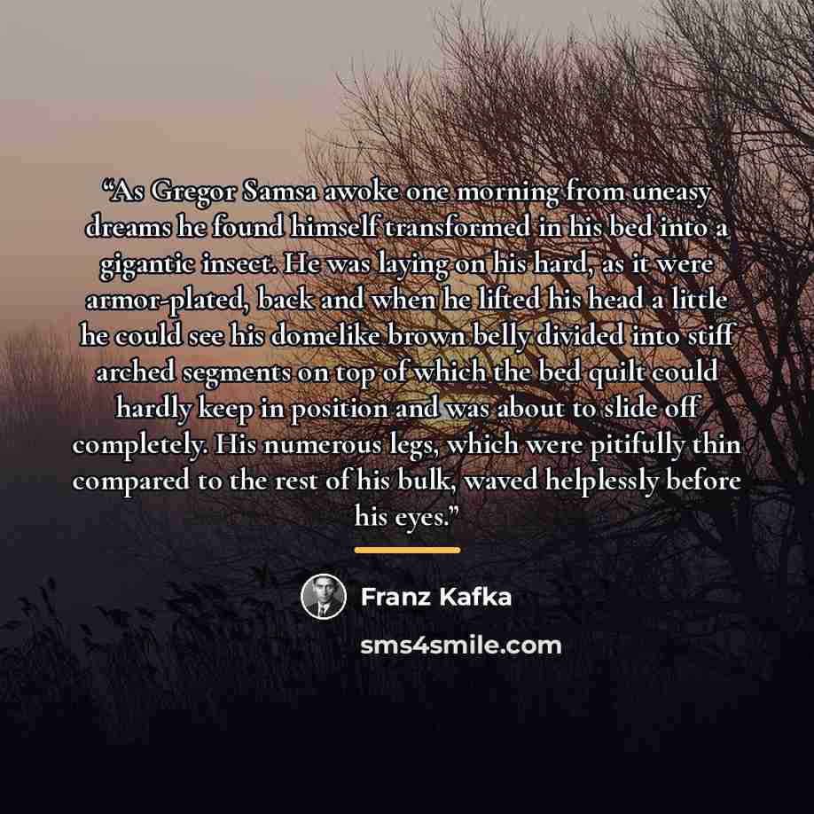 “As Gregor Samsa awoke one morning from uneasy dreams he found himself transformed in his bed into a gigantic insect. He was laying on his hard, as it were armor-plated, back and when he lifted his head a little he could see his domelike brown belly divided into stiff arched segments on top of…” quote by Franz Kafka