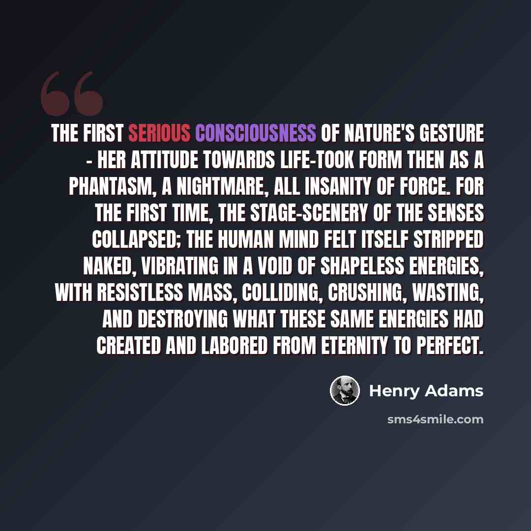 “The first serious consciousness of Nature's gesture - her attitude towards life-took form then as a phantasm, a nightmare, all insanity of force. For the first time, the stage-scenery of the senses collapsed; the human mind felt itself stripped naked, vibrating in a void of shapeless energies…” quote by Henry Adams