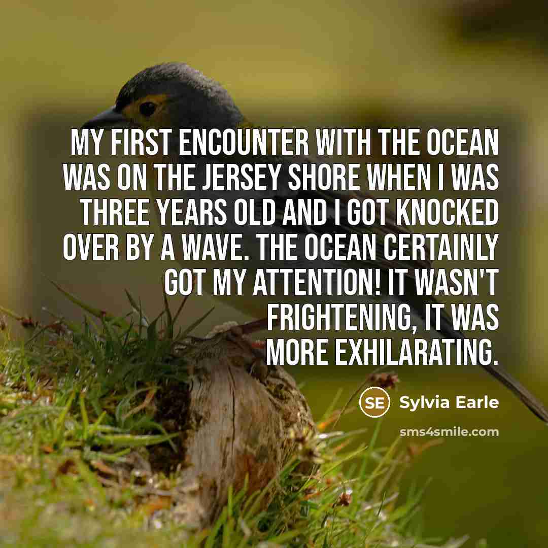 “My first encounter with the ocean was on the Jersey Shore when I was three years old and I got knocked over by a wave. The ocean certainly got my attention! It wasn't frightening, it was more exhilarating.” quote by Sylvia Earle