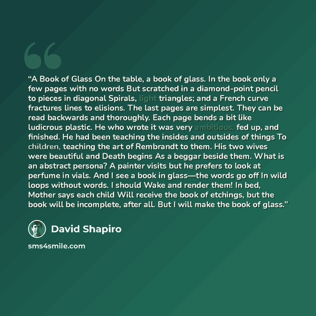 “A Book of Glass On the table, a book of glass. In the book only a few pages with no words But scratched in a diamond-point pencil to pieces in diagonal Spirals, light triangles; and a French curve fractures lines to elisions. The last pages are simplest. They can be read backwards and thoroughly…” quote by David Shapiro