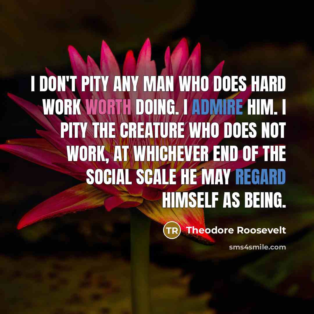 “I don't pity any man who does hard work worth doing. I admire him. I pity the creature who does not work, at whichever end of the social scale he may regard himself as being.” quote by Theodore Roosevelt