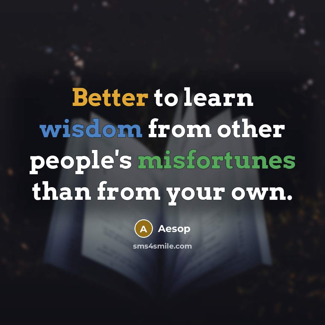 “Better to learn wisdom from other people's misfortunes than from your own.” quote by Aesop