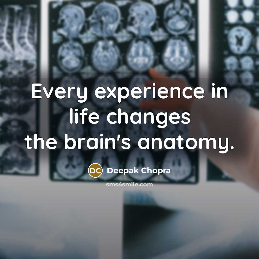 “Every experience in life changes the brain's anatomy.” quote by Deepak Chopra