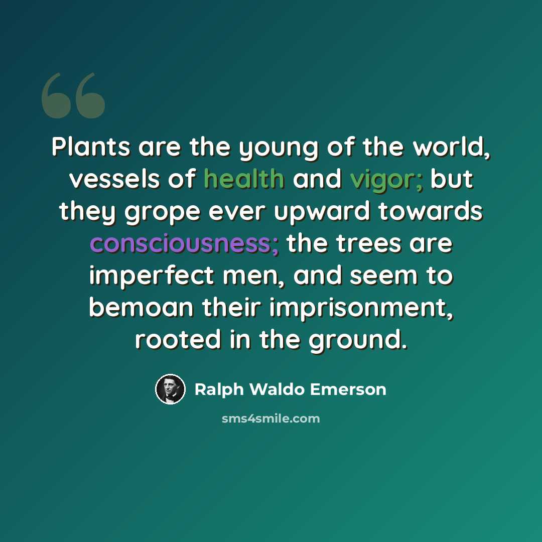 “Plants are the young of the world, vessels of health and vigor; but they grope ever upward towards consciousness; the trees are imperfect men, and seem to bemoan their imprisonment, rooted in the ground.” quote by Ralph Waldo Emerson