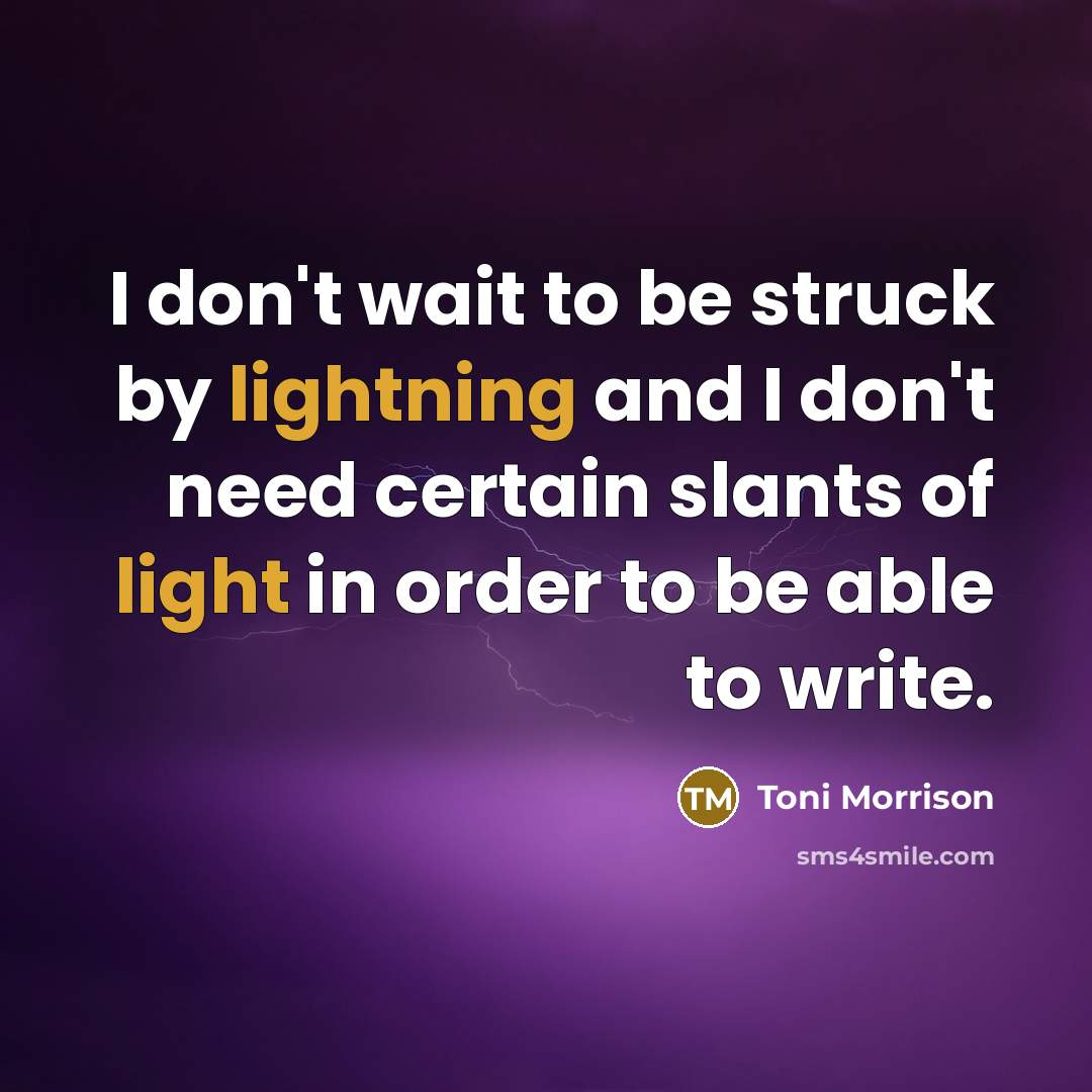 “I don't wait to be struck by lightning and I don't need certain slants of light in order to be able to write.” quote by Toni Morrison