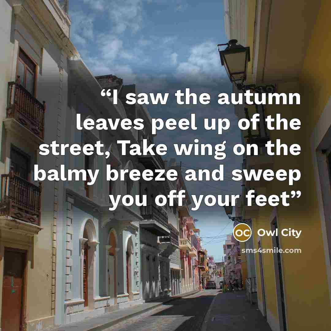 “I saw the autumn leaves peel up of the street, Take wing on the balmy breeze and sweep you off your feet” quote by Owl City