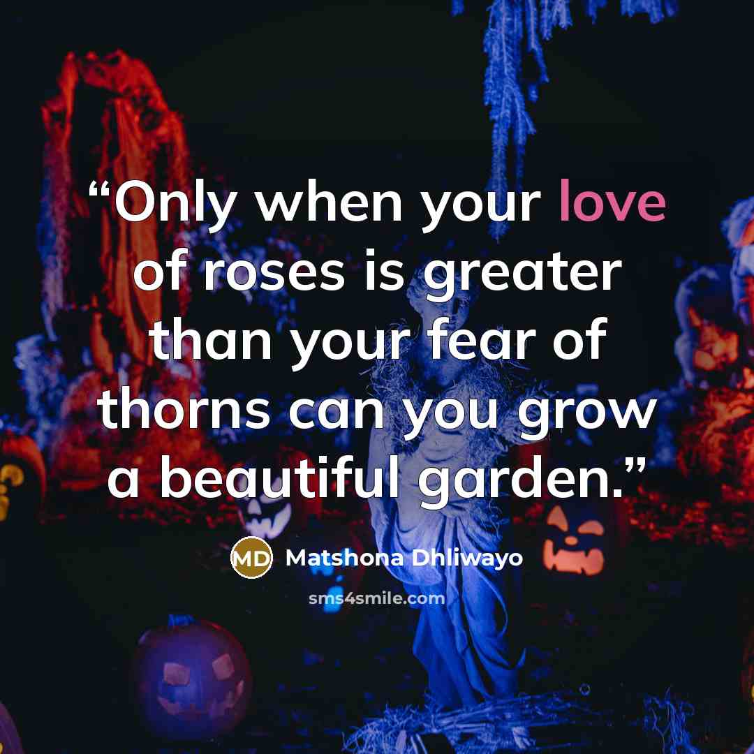 “Only when your love of roses is greater than your fear of thorns can you grow a beautiful garden.” quote by Matshona Dhliwayo