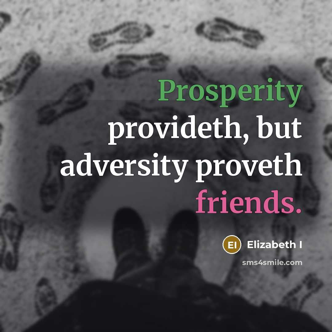 “Prosperity provideth, but adversity proveth friends.” quote by Elizabeth I
