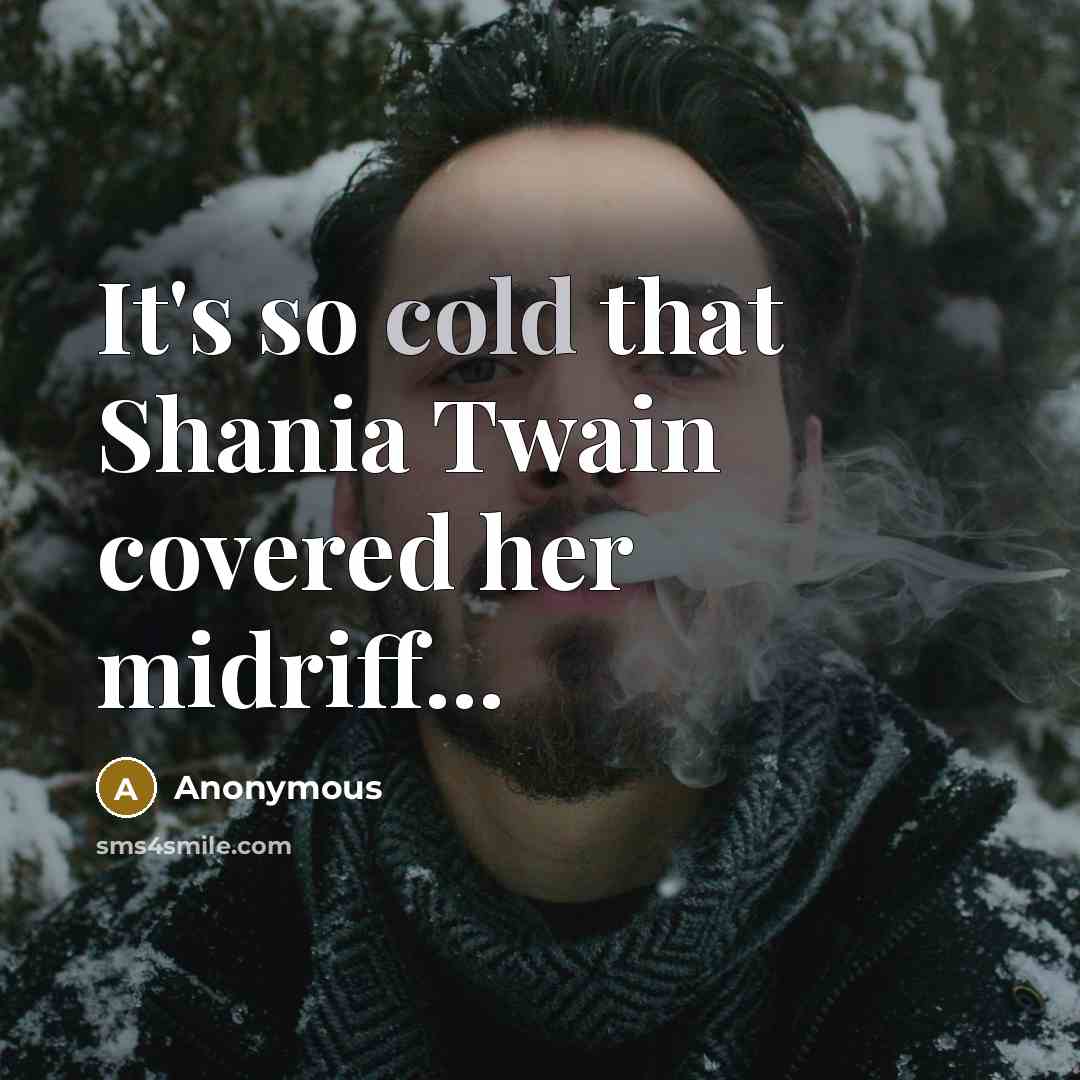 “It's so cold that Shania Twain covered her midriff...” quote by Anonymous