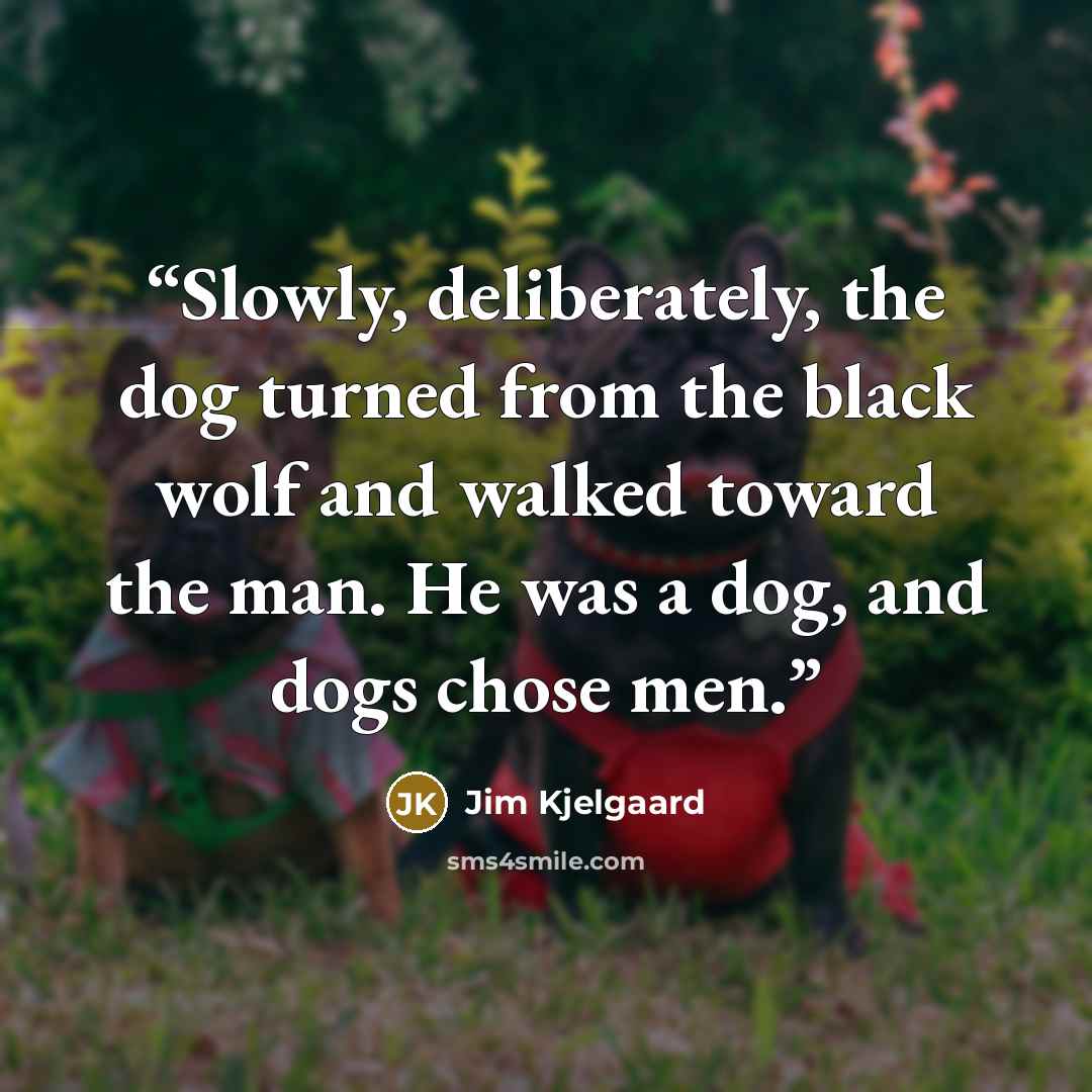 “Slowly, deliberately, the dog turned from the black wolf and walked toward the man. He was a dog, and dogs chose men.” quote by Jim Kjelgaard