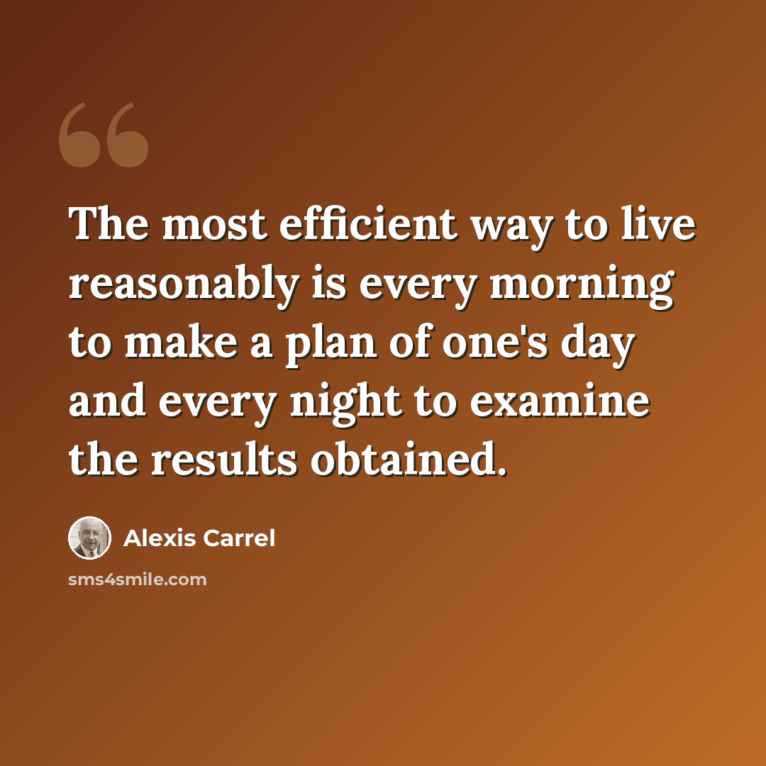 “The most efficient way to live reasonably is every morning to make a plan of one's day and every night to examine the results obtained.” quote by Alexis Carrel