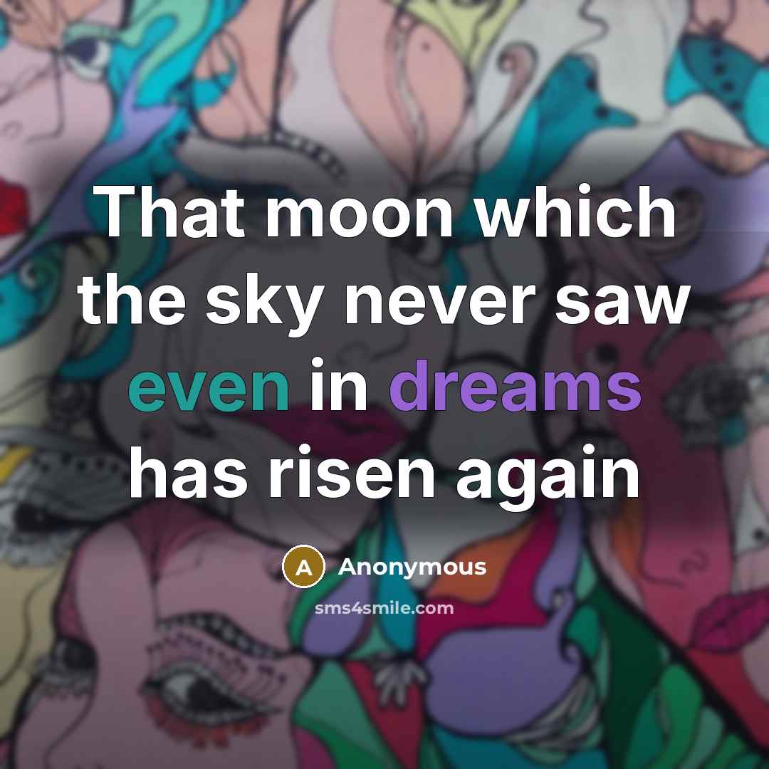 “That moon which the sky never saw even in dreams has risen again” quote by Anonymous