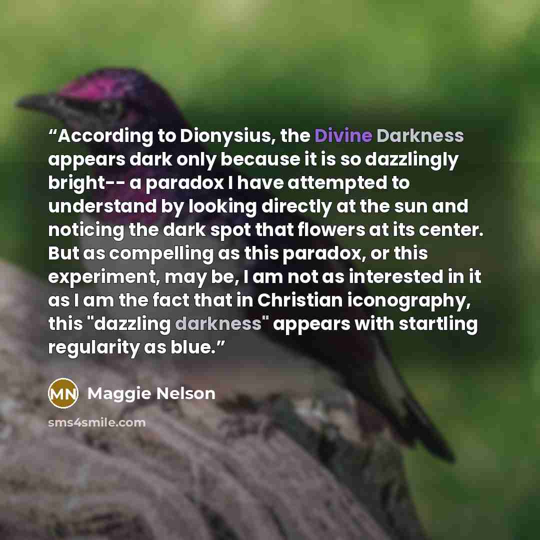 “According to Dionysius, the Divine Darkness appears dark only because it is so dazzlingly bright-- a paradox I have attempted to understand by looking directly at the sun and noticing the dark spot that flowers at its center. But as compelling as this paradox, or this experiment, may be, I am not…” quote by Maggie Nelson