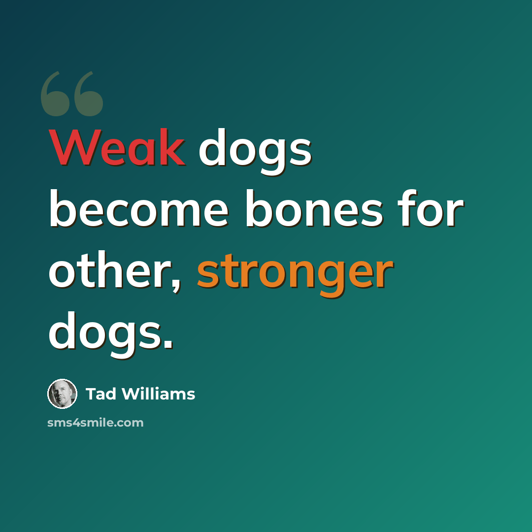 “Weak dogs become bones for other, stronger dogs.” quote by Tad Williams