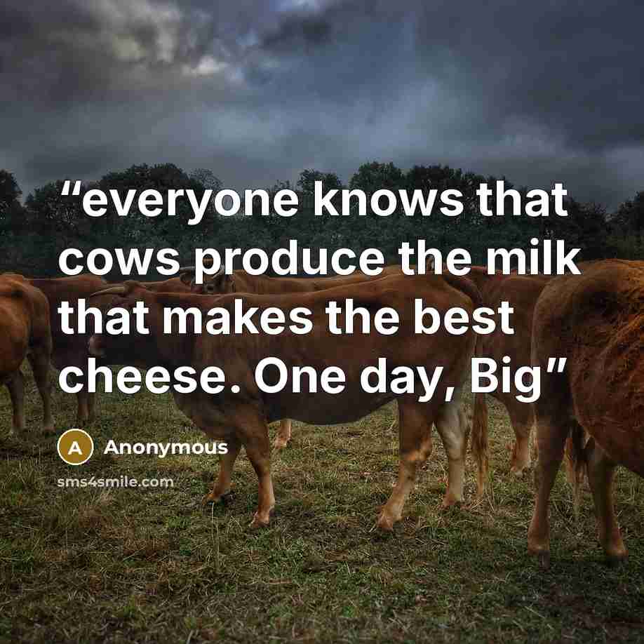“everyone knows that cows produce the milk that makes the best cheese. One day, Big” quote by Anonymous