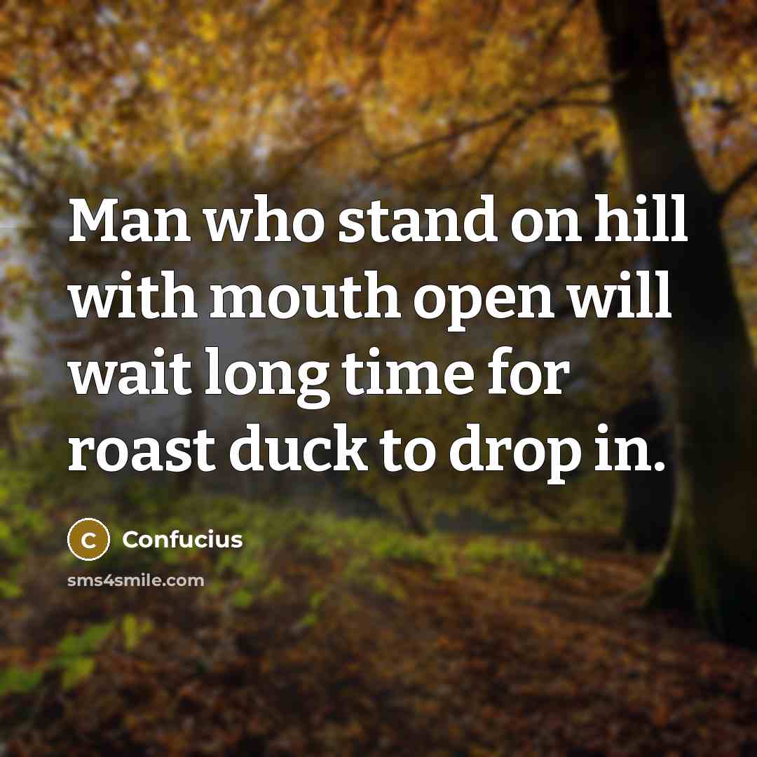 “Man who stand on hill with mouth open will wait long time for roast duck to drop in.” quote by Confucius
