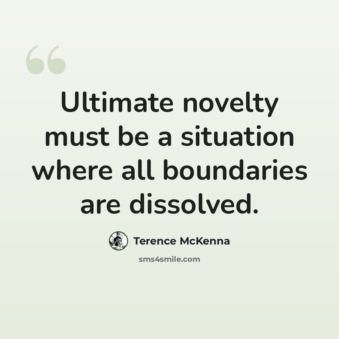 “Ultimate novelty must be a situation where all boundaries are dissolved.” quote by Terence McKenna