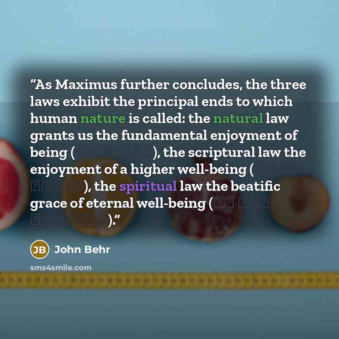 “As Maximus further concludes, the three laws exhibit the principal ends to which human nature is called: the natural law grants us the fundamental enjoyment of being (τὸ εἶναι), the scriptural law the enjoyment of a higher well-being (τὸ εὖ εἶναι), the spiritual law the beatific grace of eternal…” quote by John Behr