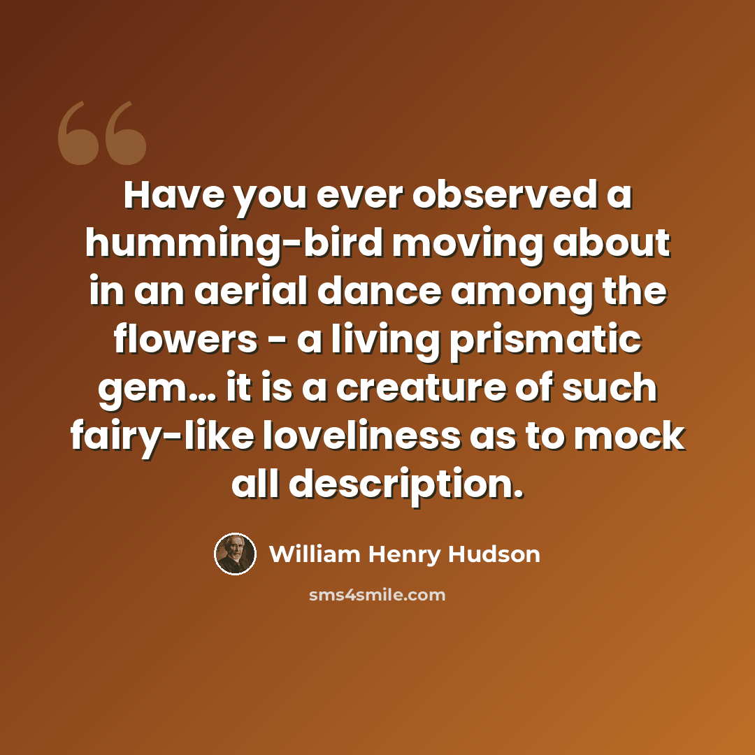 “Have you ever observed a humming-bird moving about in an aerial dance among the flowers - a living prismatic gem… it is a creature of such fairy-like loveliness as to mock all description.” quote by William Henry Hudson