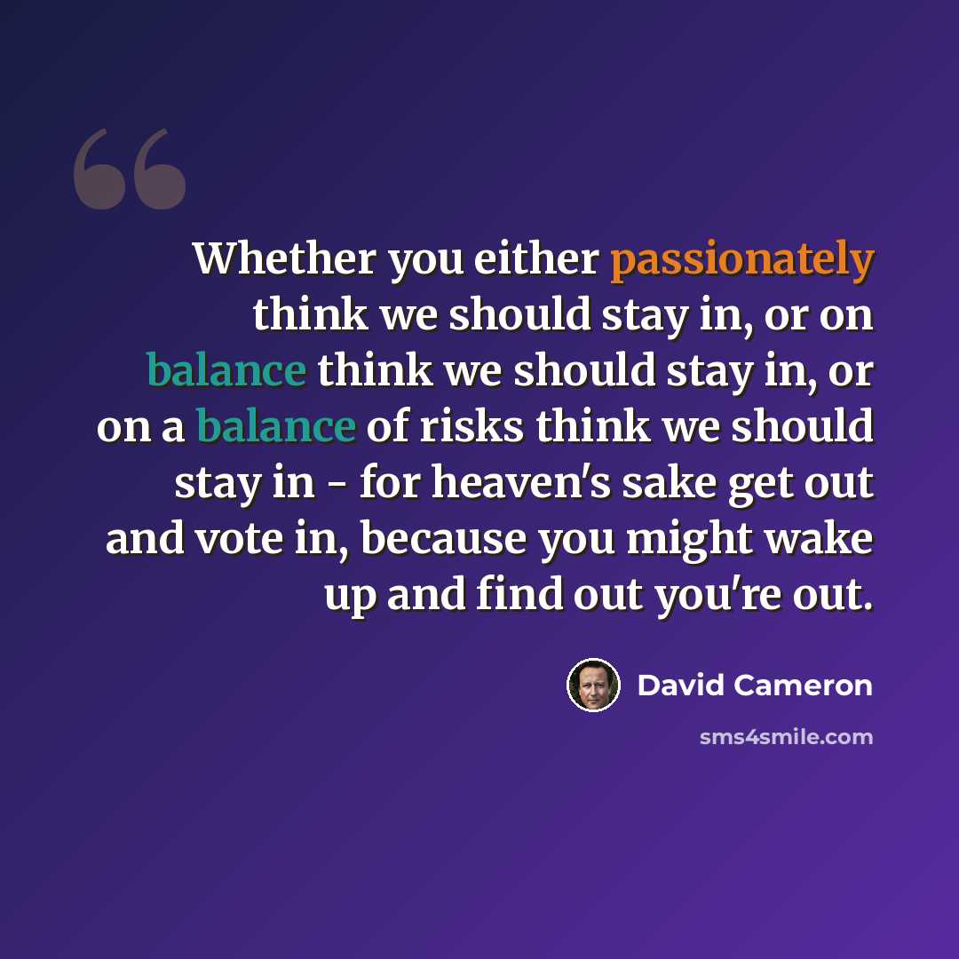 “Whether you either passionately think we should stay in, or on balance think we should stay in, or on a balance of risks think we should stay in - for heaven's sake get out and vote in, because you might wake up and find out you're out.” quote by David Cameron