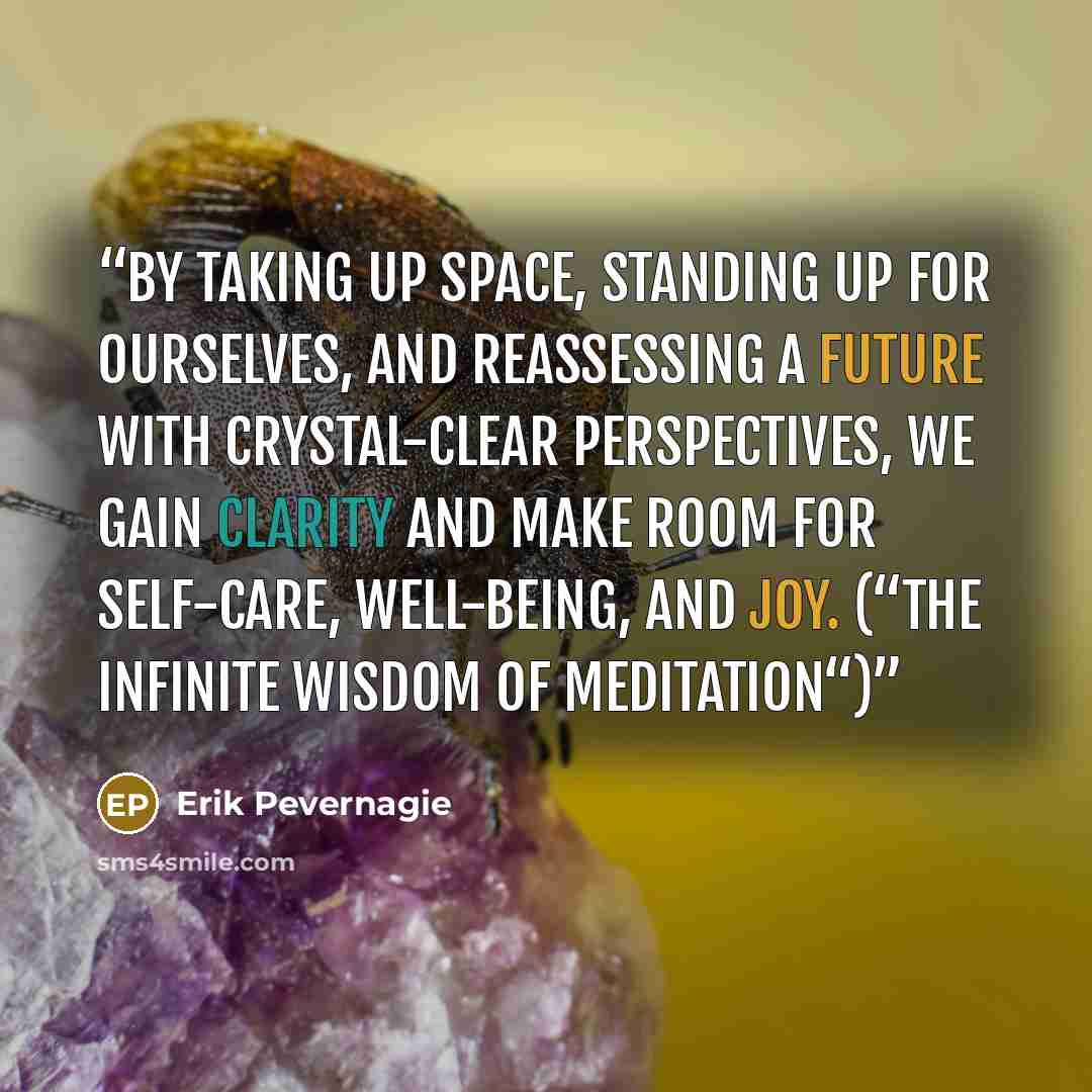 “By taking up space, standing up for ourselves, and reassessing a future with crystal-clear perspectives, we gain clarity and make room for self-care, well-being, and joy. (“The Infinite Wisdom of Meditation“)” quote by Erik Pevernagie