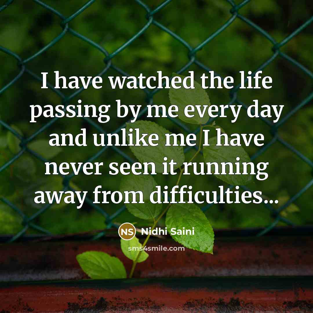 “I have watched the life passing by me every day and unlike me I have never seen it running away from difficulties...” quote by Nidhi Saini