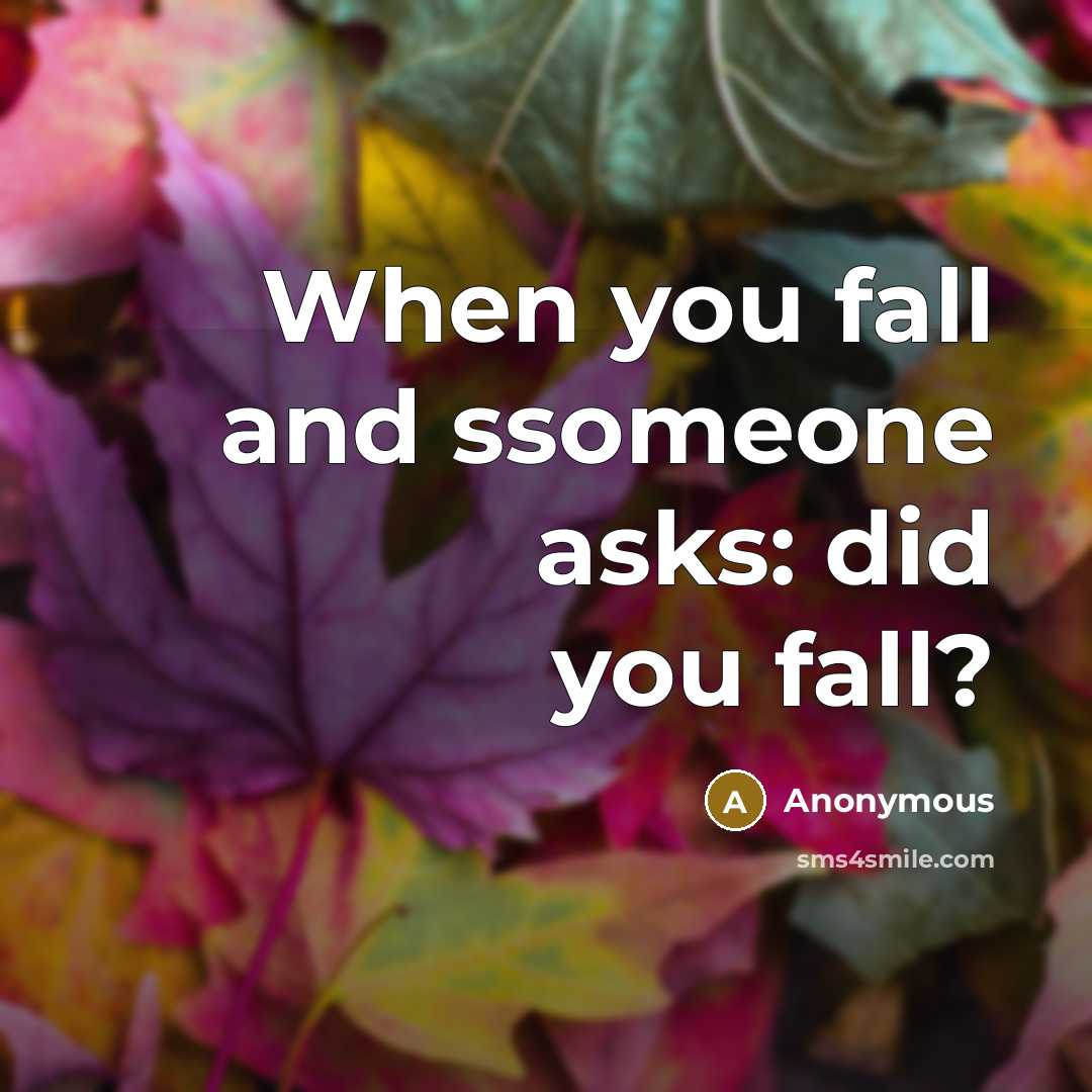 “When you fall and ssomeone asks: did you fall?” quote by Anonymous