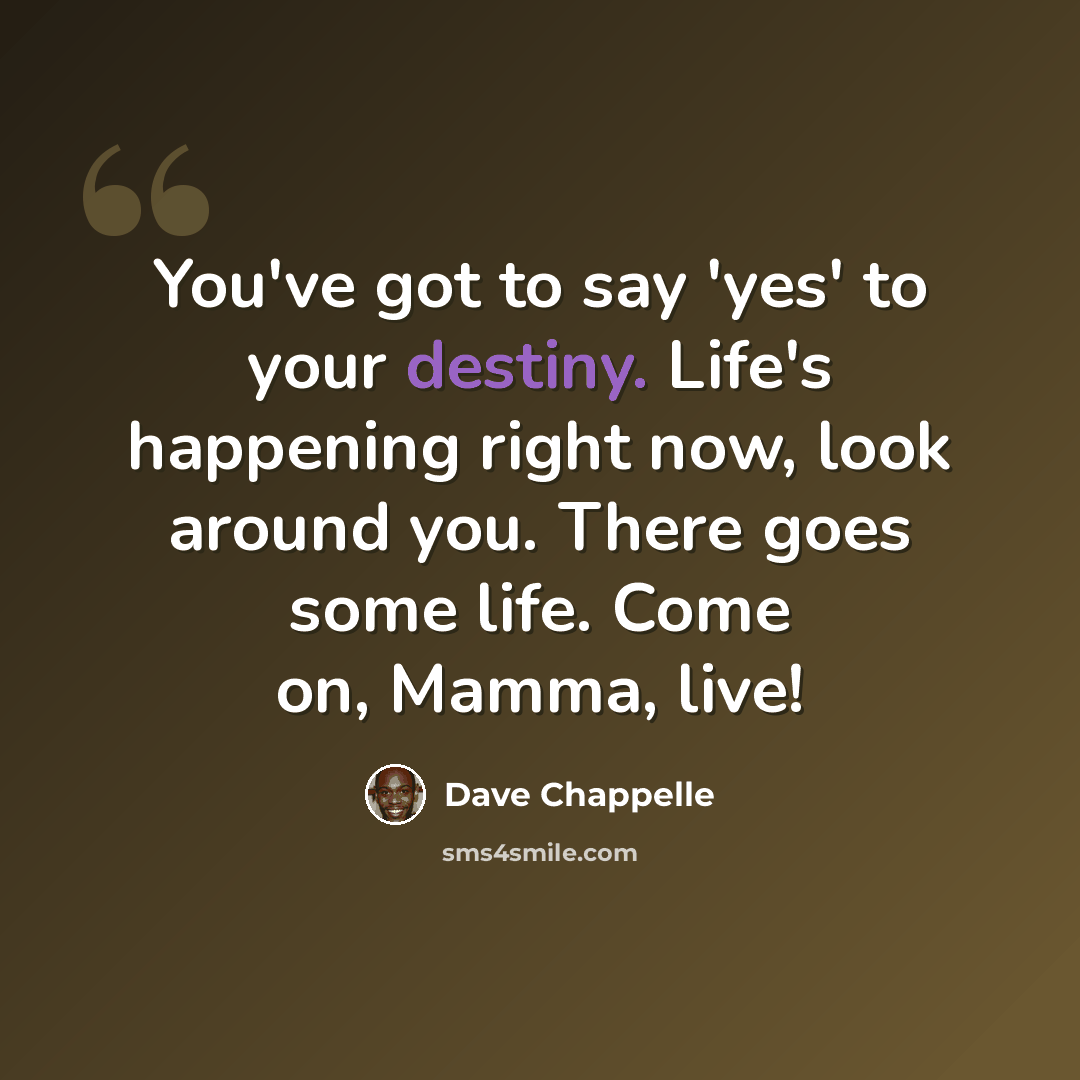“You've got to say 'yes' to your destiny. Life's happening right now, look around you. There goes some life. Come on, Mamma, live!” quote by Dave Chappelle
