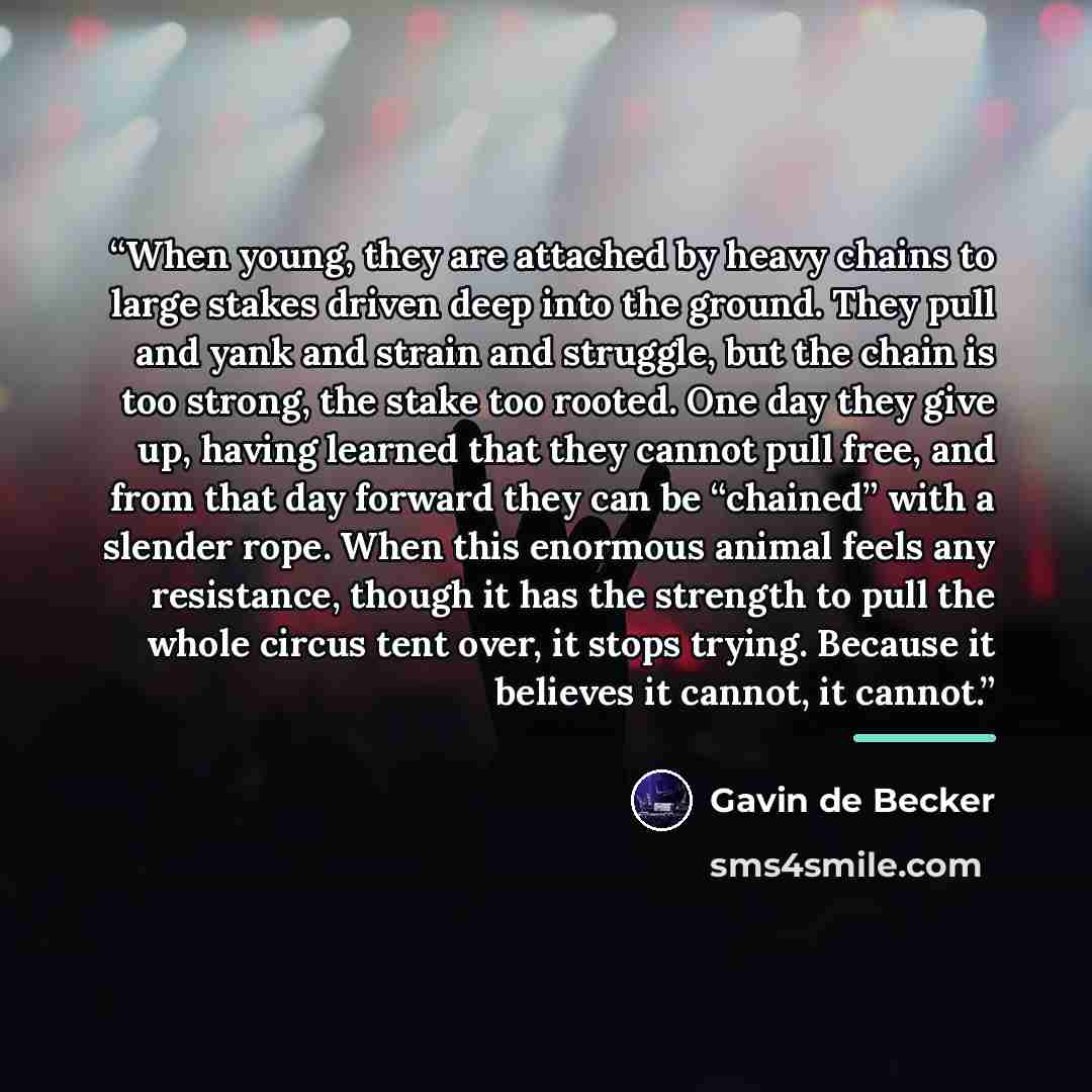 “When young, they are attached by heavy chains to large stakes driven deep into the ground. They pull and yank and strain and struggle, but the chain is too strong, the stake too rooted. One day they give up, having learned that they cannot pull free, and from that day forward they can be “chained”…” quote by Gavin de Becker