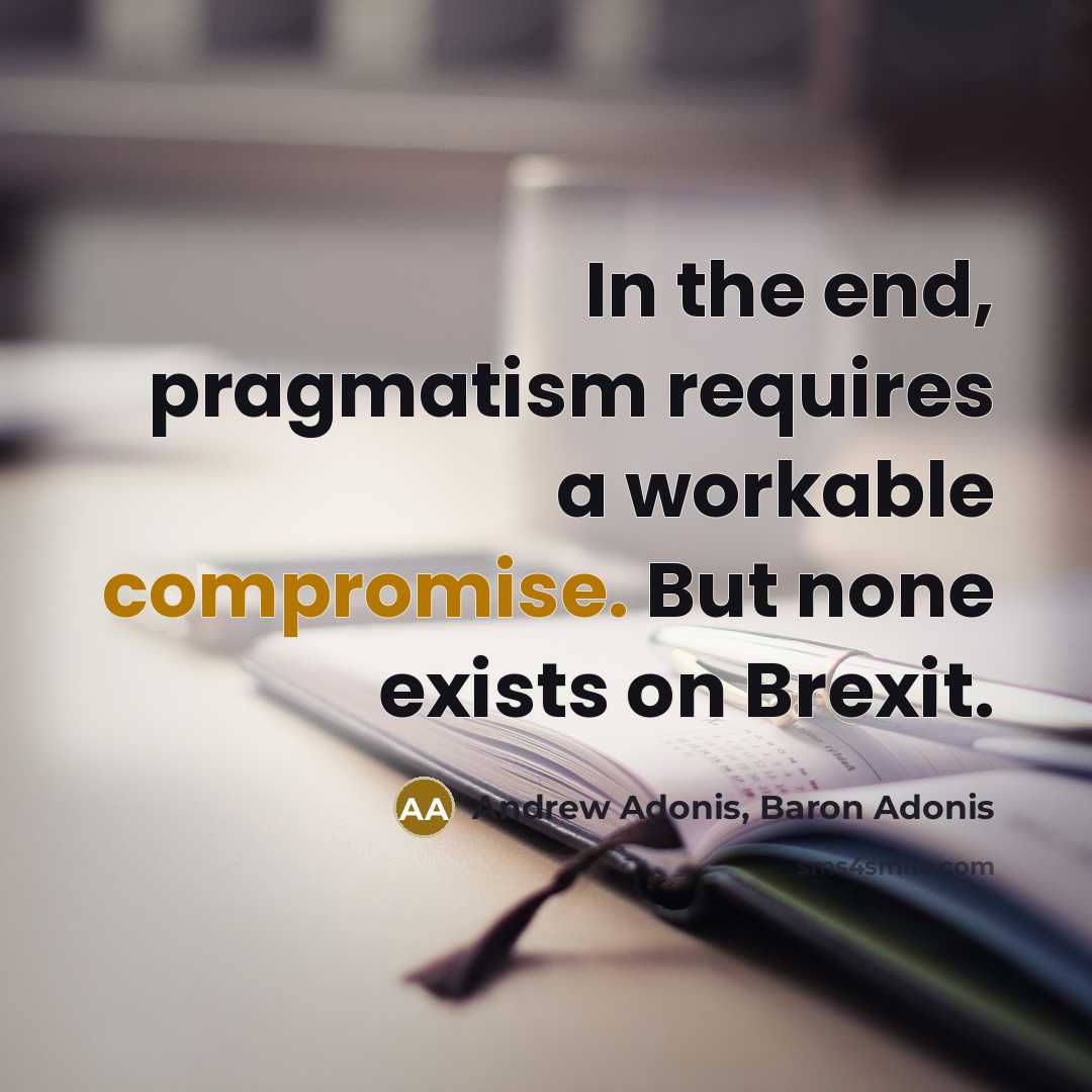 “In the end, pragmatism requires a workable compromise. But none exists on Brexit.” quote by Andrew Adonis, Baron Adonis
