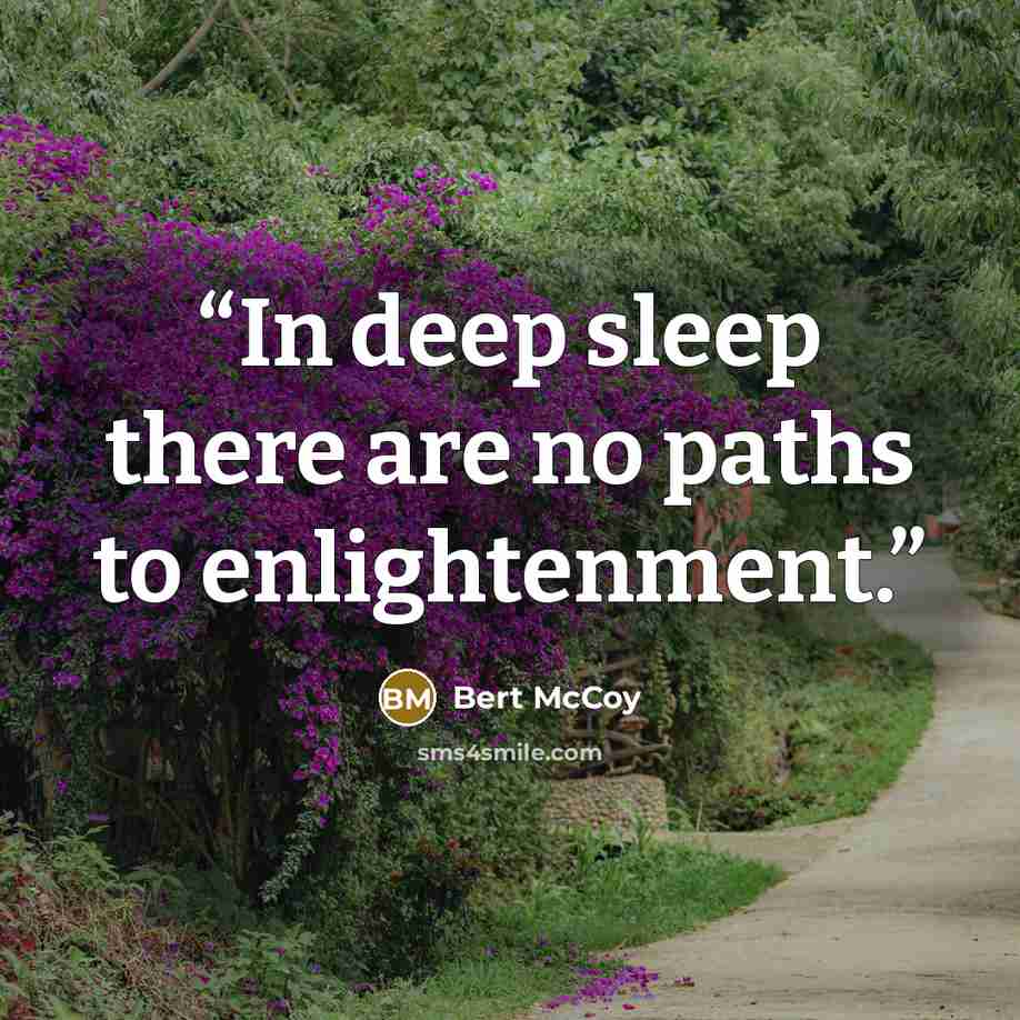 “In deep sleep there are no paths to enlightenment.” quote by Bert McCoy