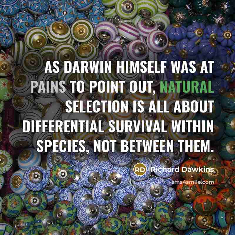 “As Darwin himself was at pains to point out, natural selection is all about differential survival within species, not between them.” quote by Richard Dawkins