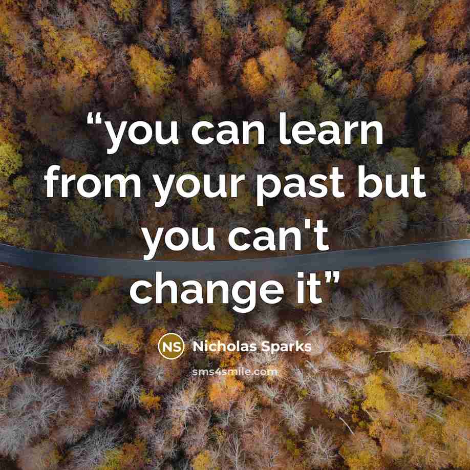 “you can learn from your past but you can't change it” quote by Nicholas Sparks