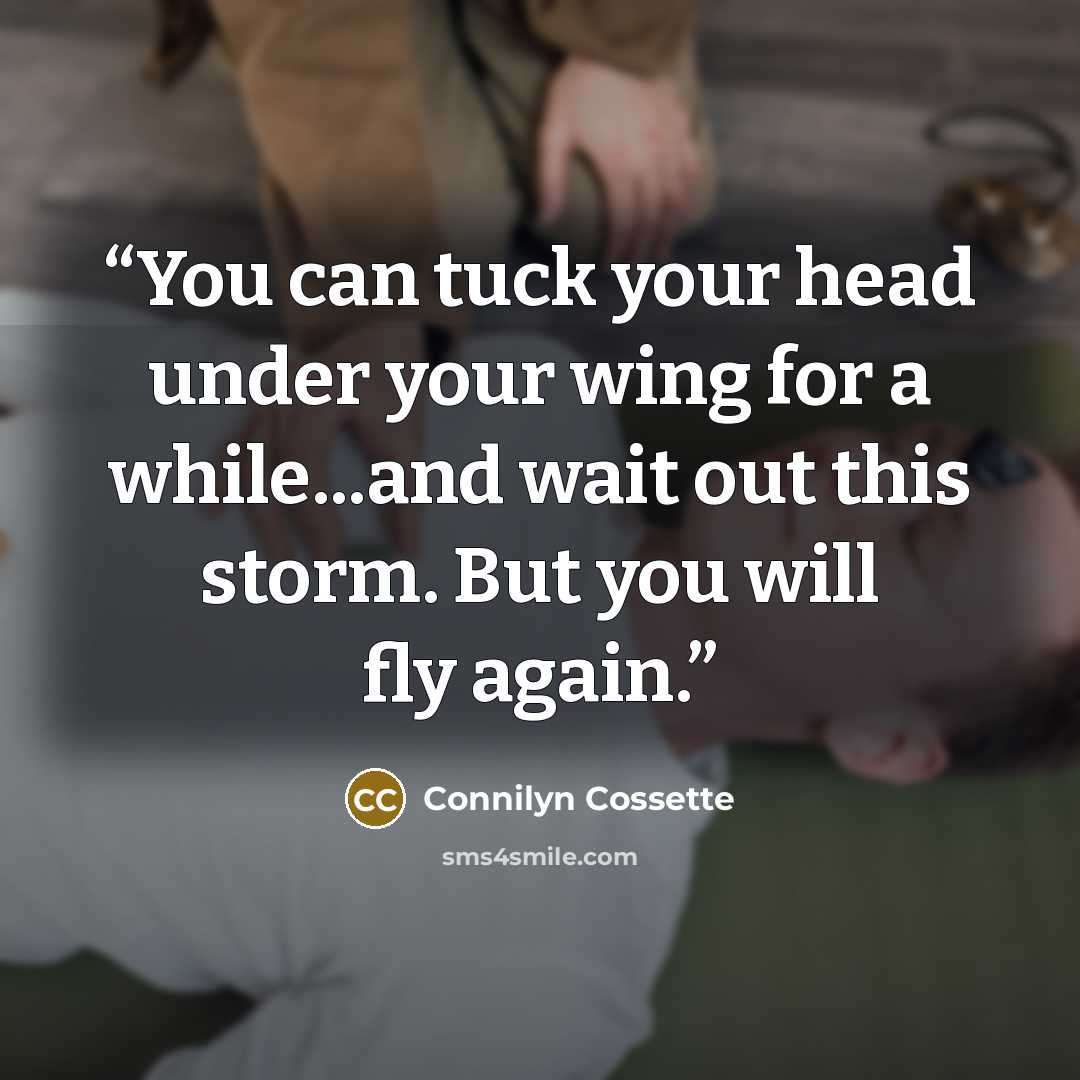 “You can tuck your head under your wing for a while...and wait out this storm. But you will fly again.” quote by Connilyn Cossette