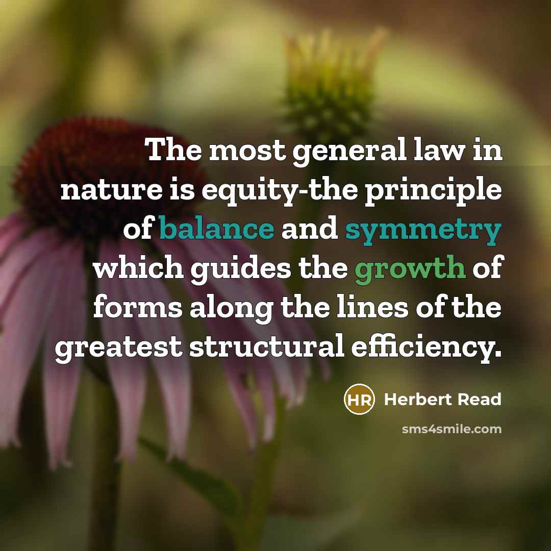 “The most general law in nature is equity-the principle of balance and symmetry which guides the growth of forms along the lines of the greatest structural efficiency.” quote by Herbert Read